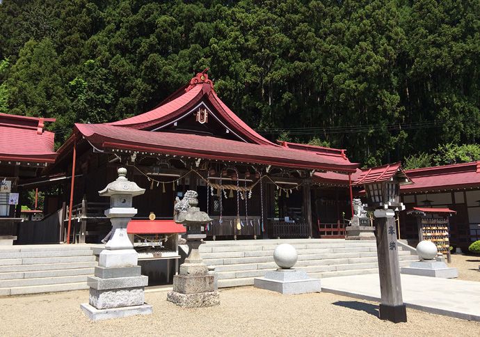 5月は金蛇水神社だね。300年の藤と1500株の牡丹